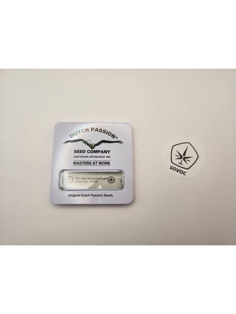 БезПломбы CBD Auto Blackberry Kush DP, Фасовка: 3