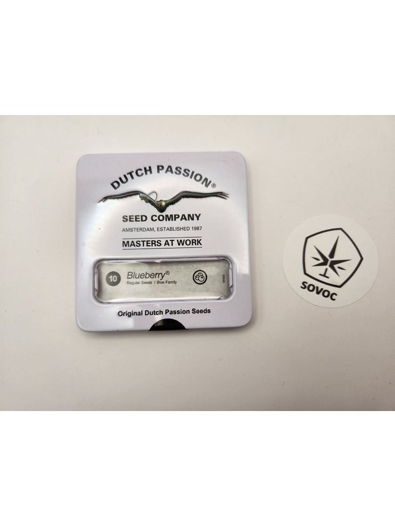 Blueberry Reg DP, Фасовка: 10
