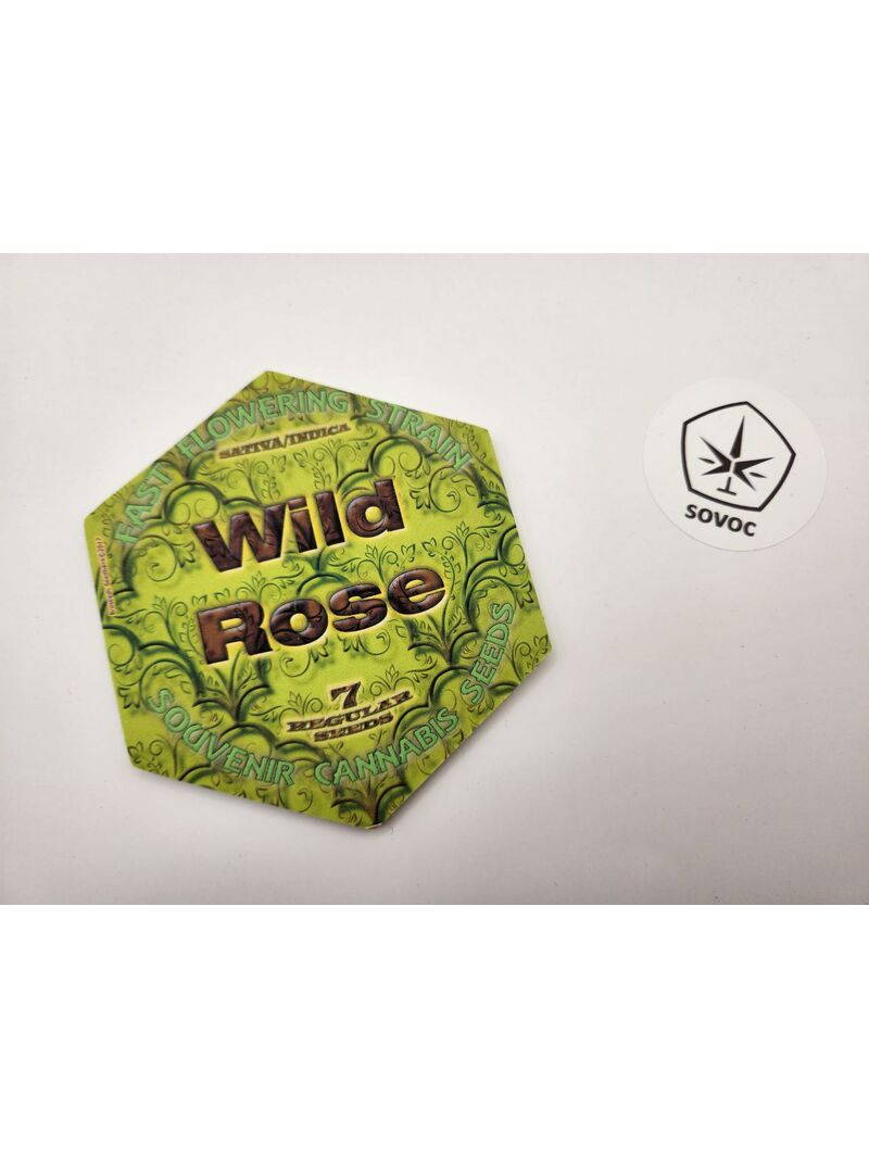 Wild Rose REG Broseeds Мавзолей, Фасовка: 7