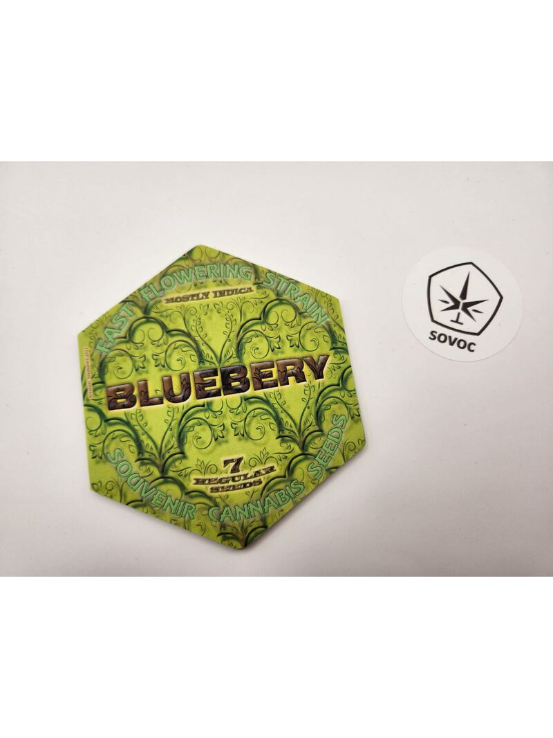 Blueberry REG Broseeds Мавзолей, Фасовка: 7