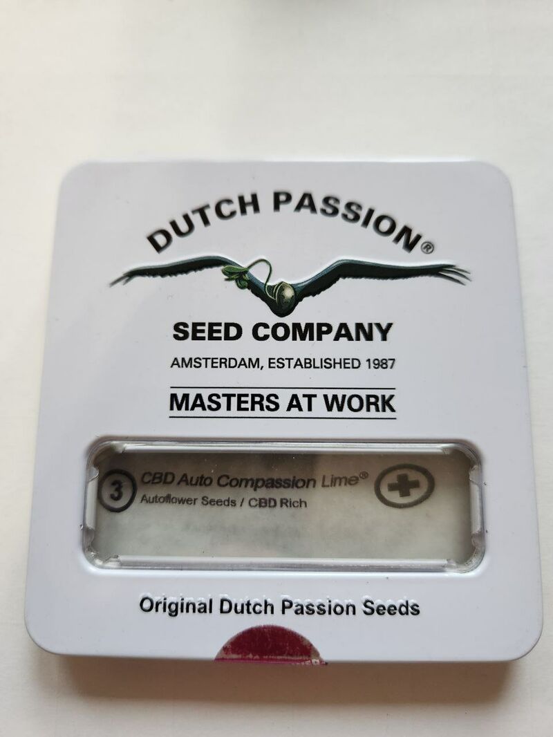 CBD Auto Compassion Lime DP Мавзолей, Фасовка: 3