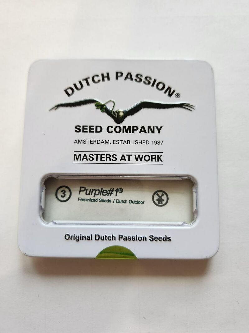 Purple №1 fem DP Мавзолей, Фасовка: 3