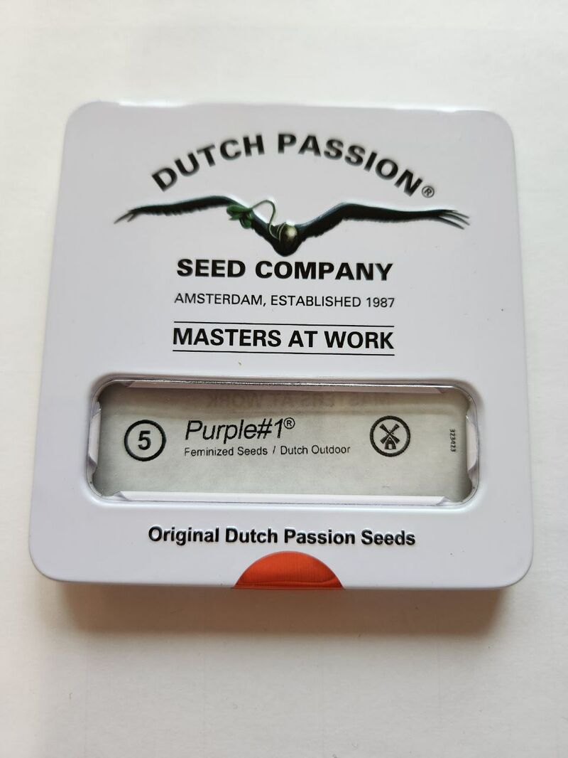 Purple#1 DP Мавзолей, Фасовка: 5