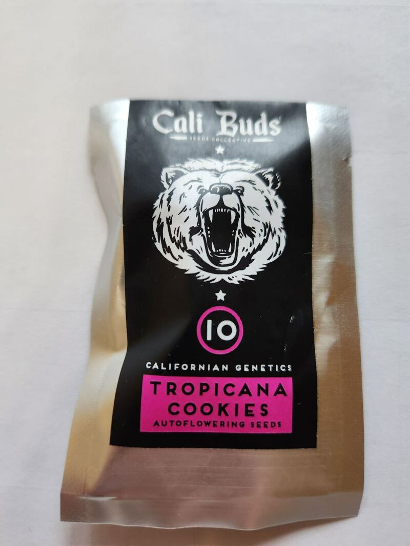 Tropicana Cookies Auto Cali 2023 Мавзолей, Фасовка: 10