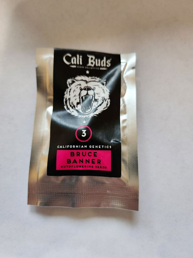 Bruce Banner Auto Cali 2022 Мавзолей, Фасовка: 3