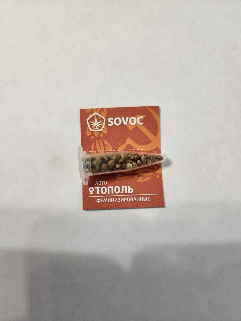 Авто Тополь Sovoc Мавзолей, Фасовка: 50