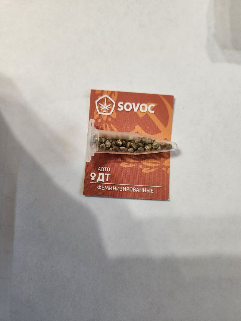 АвтоДТ Sovoc Мавзолей, Фасовка: 50