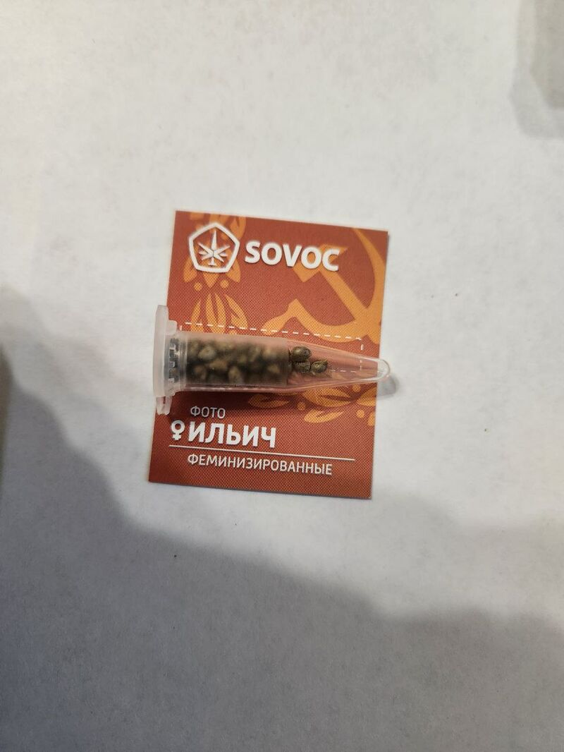Ильич Fem Sovoc Мавзолей, Фасовка: 50