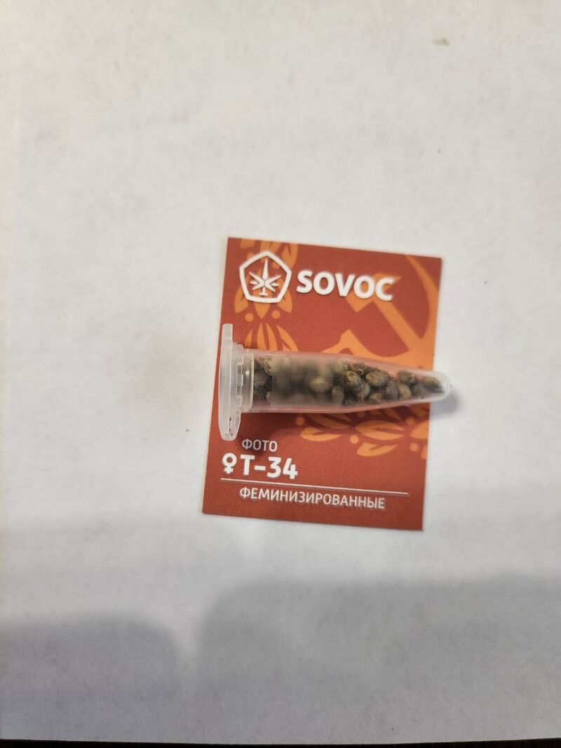 Т-34 Fem Sovoc Мавзолей, Фасовка: 50