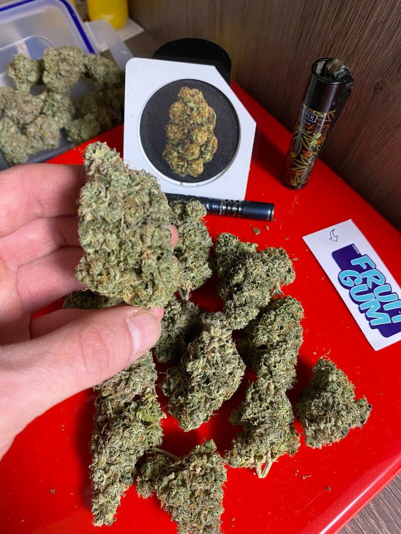 Fruit Gum, Фасовка: 3, изображение 4