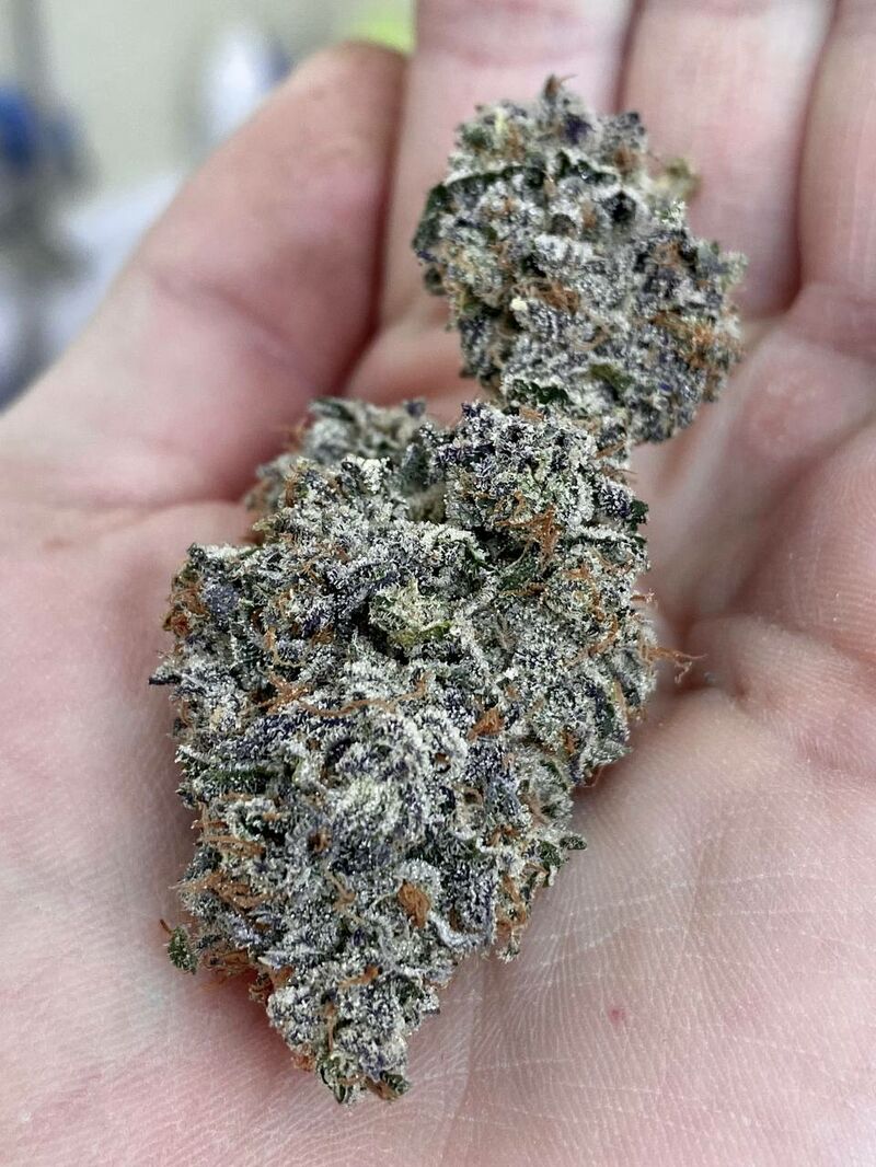 Bad Guy, Фасовка: 3, изображение 6