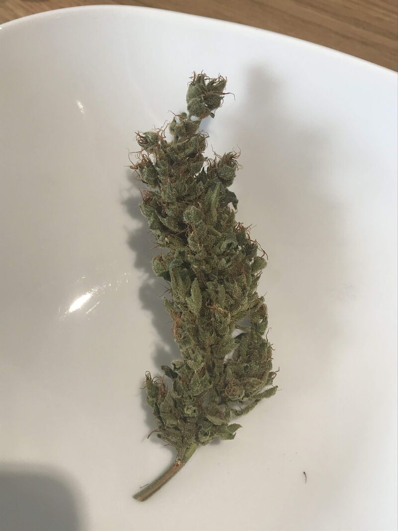 Dr. Grinspoon, Фасовка: 10, изображение 2