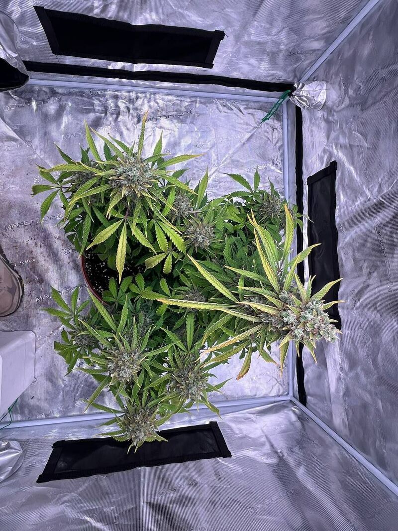 Авто Гагарин, Фасовка: 3, изображение 11