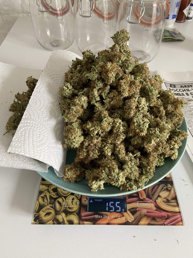 Lemon Drizzle, Фасовка: 5, изображение 3