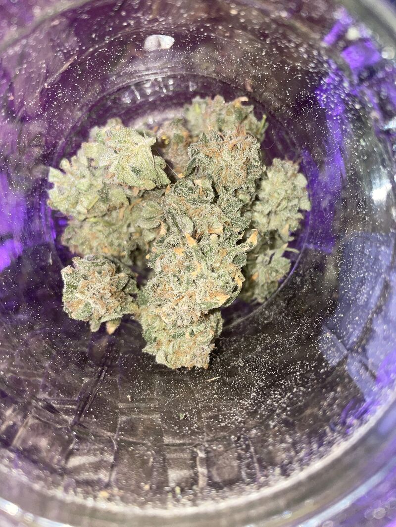 Mimosa EVO, Фасовка: 5, изображение 3