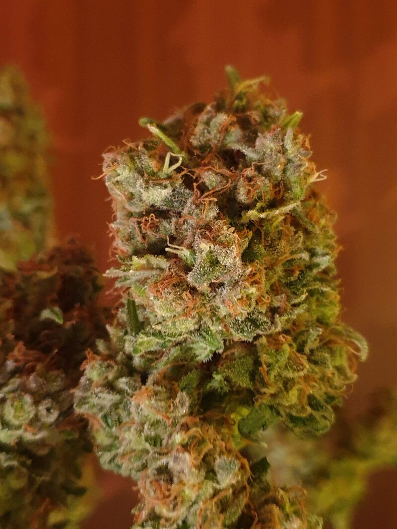 Phantom OG, Фасовка: 3, изображение 3