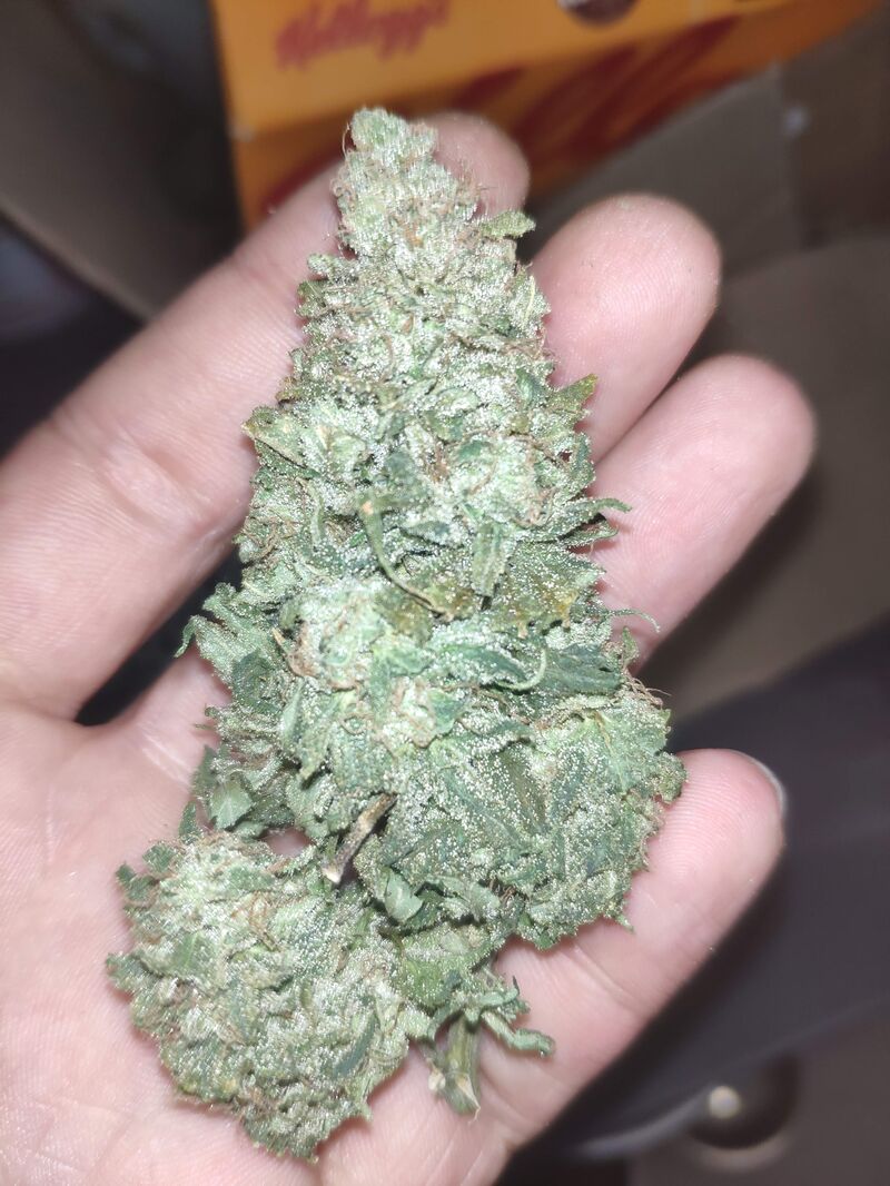 Triple Cheese, Фасовка: 3, изображение 4