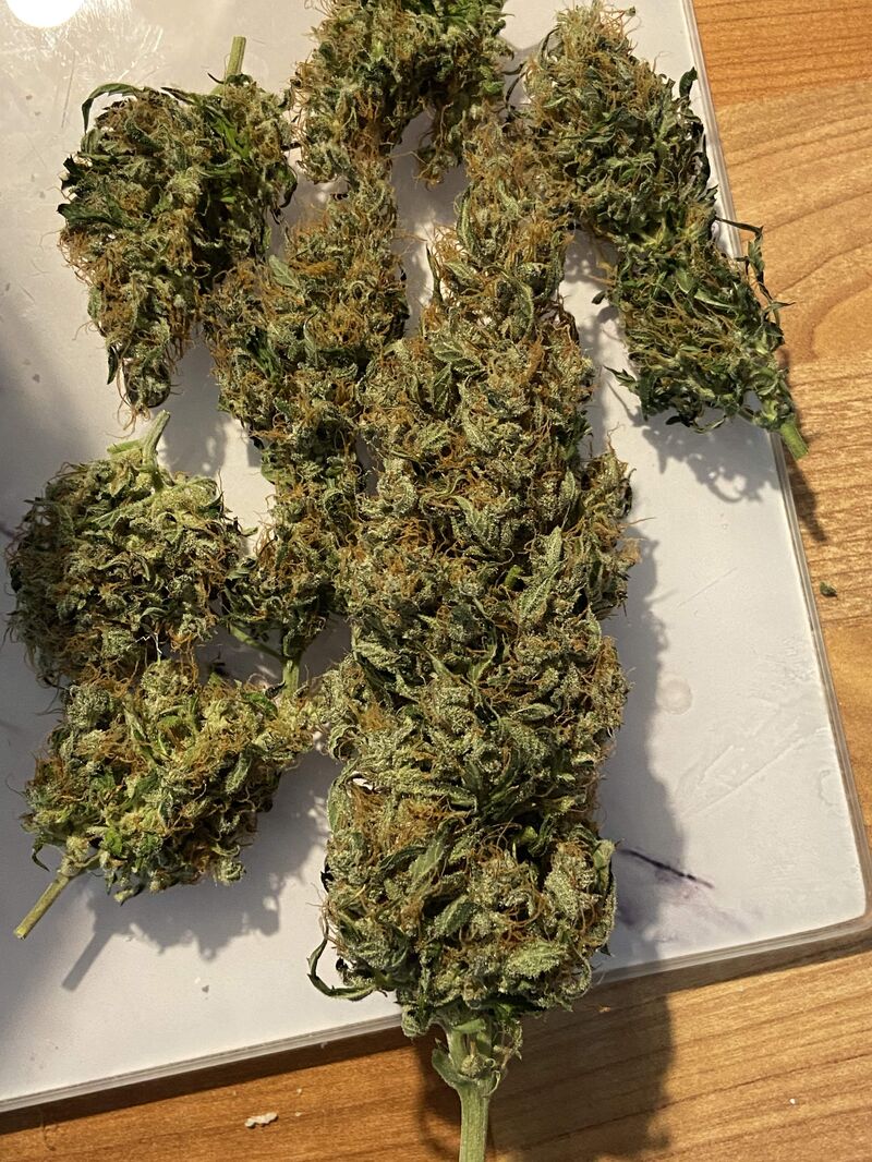 White Widow Auto XXL, Фасовка: 3, изображение 3