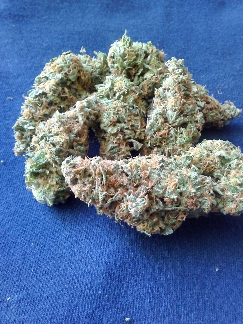 Orange Sherbert, Фасовка: 5, изображение 2