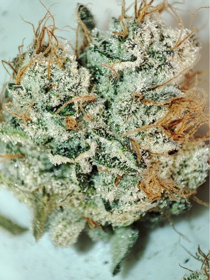 Honeybreath, Фасовка: 3, изображение 2