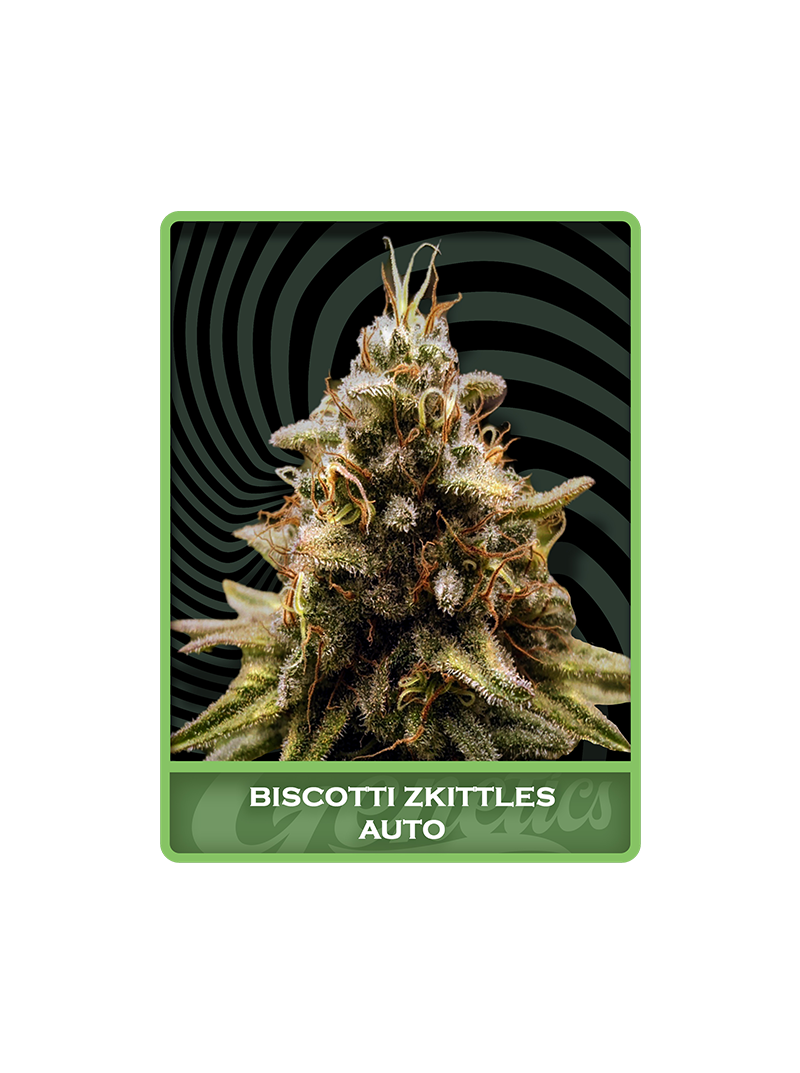 Biscotti Zkittles Auto, Фасовка: 3