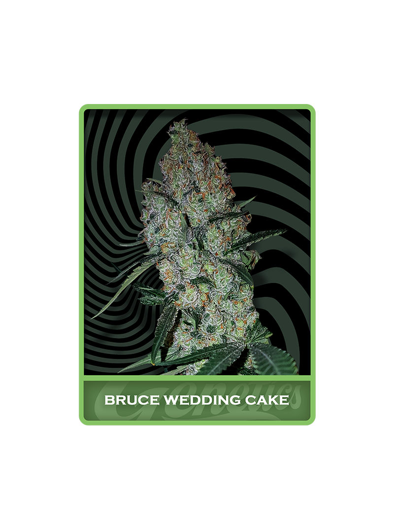 Bruce Wedding Cake, Фасовка: 1