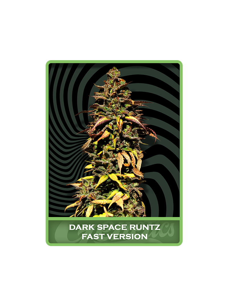 Dark Space Runtz Fast, Фасовка: 1