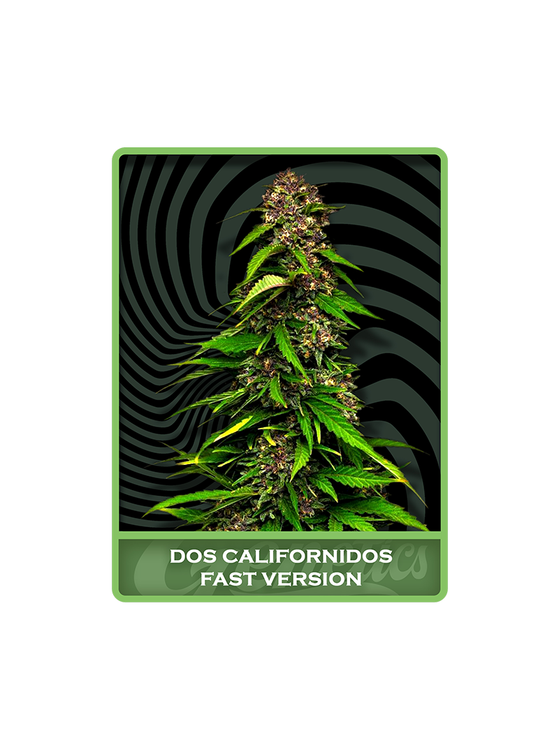 Dos Californidos Fast, Фасовка: 5