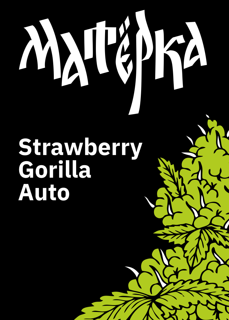 Strawberry Gorilla Auto, Фасовка: 3