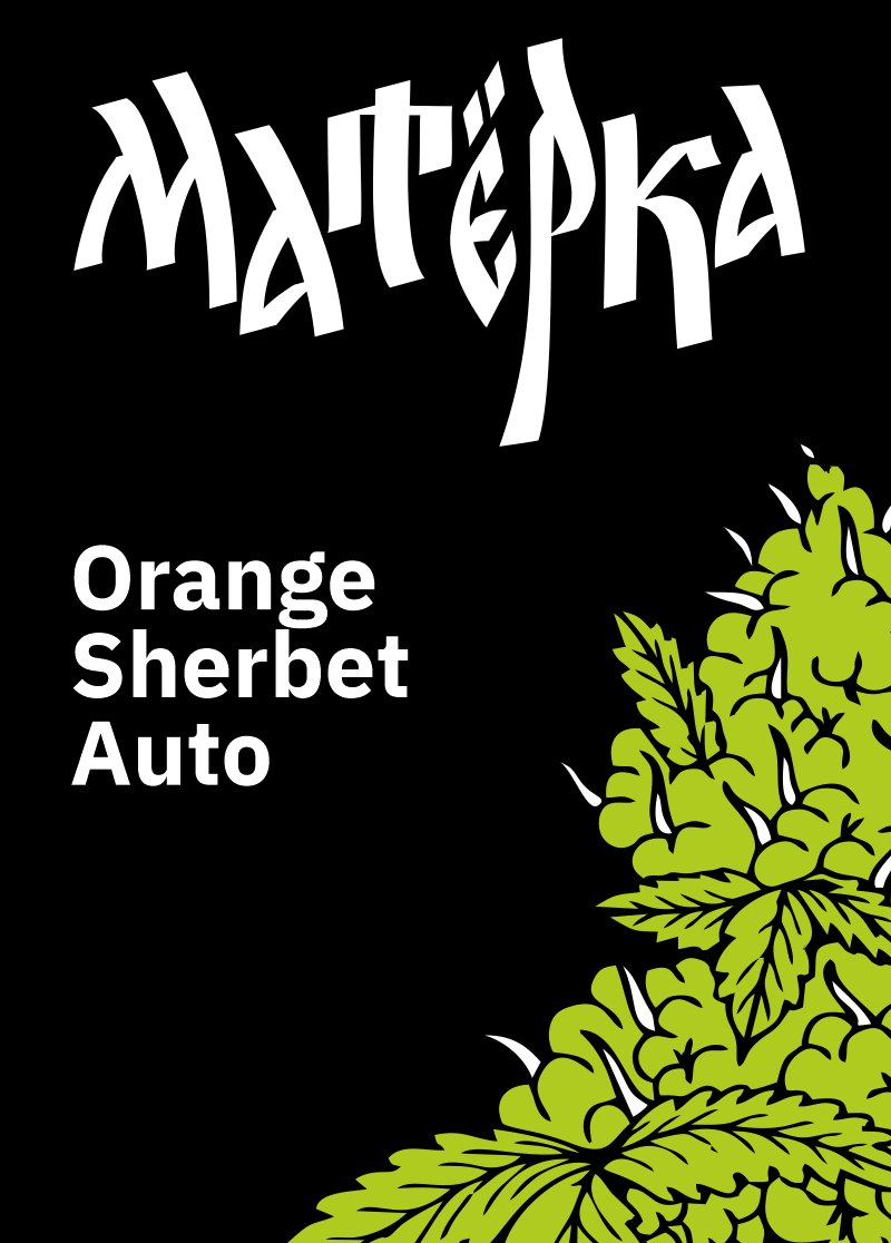 Orange Sherbet Auto, Фасовка: 3