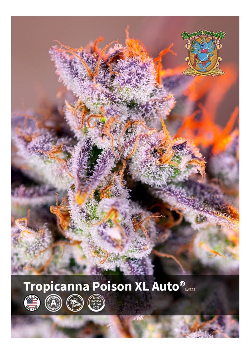 Tropicanna Poison XL Auto, Фасовка: 3+1