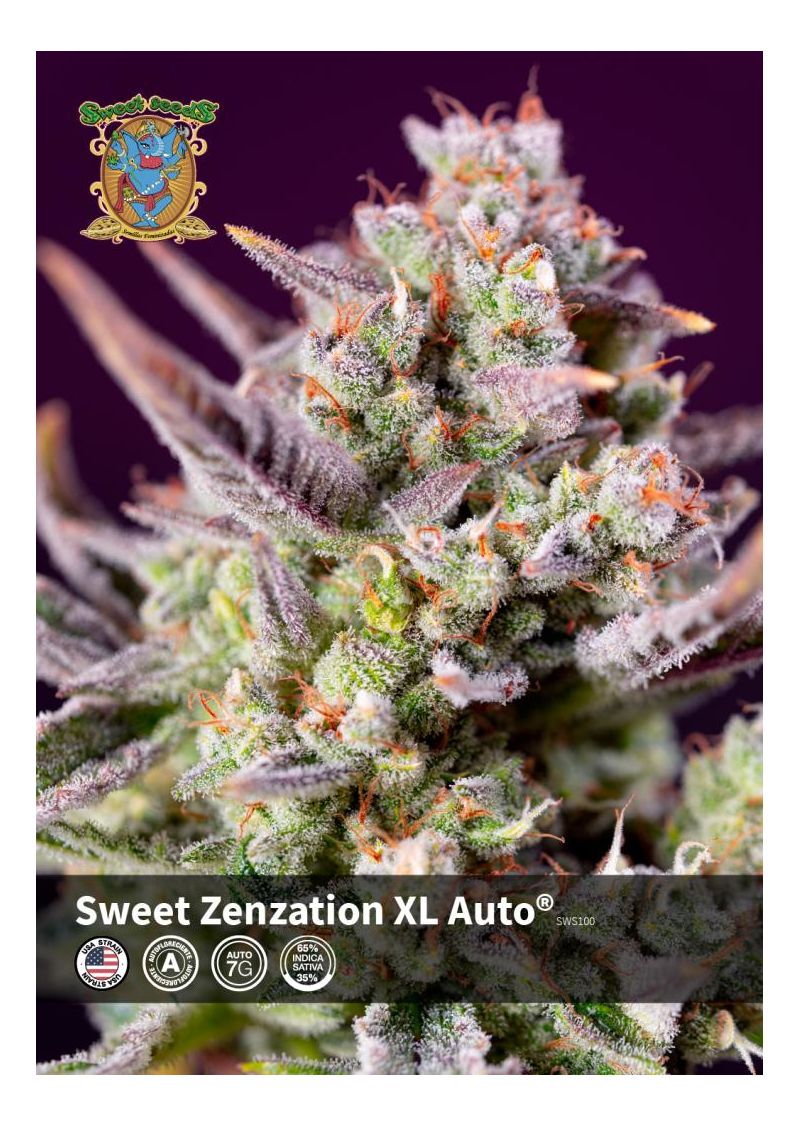 Sweet Zenzation XL Auto, Фасовка: 3+1