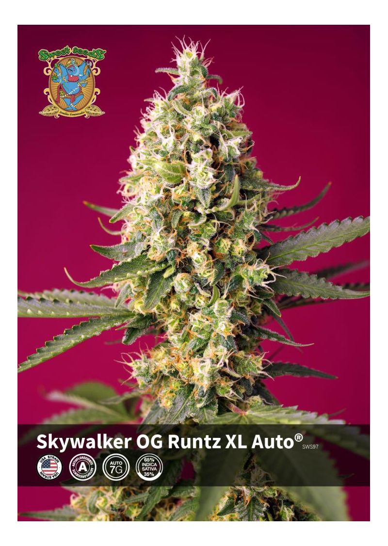 Skywalker OG Runtz XL Auto, Фасовка: 3+1