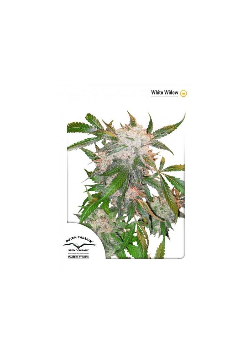 White Widow, Фасовка: 3, изображение 7