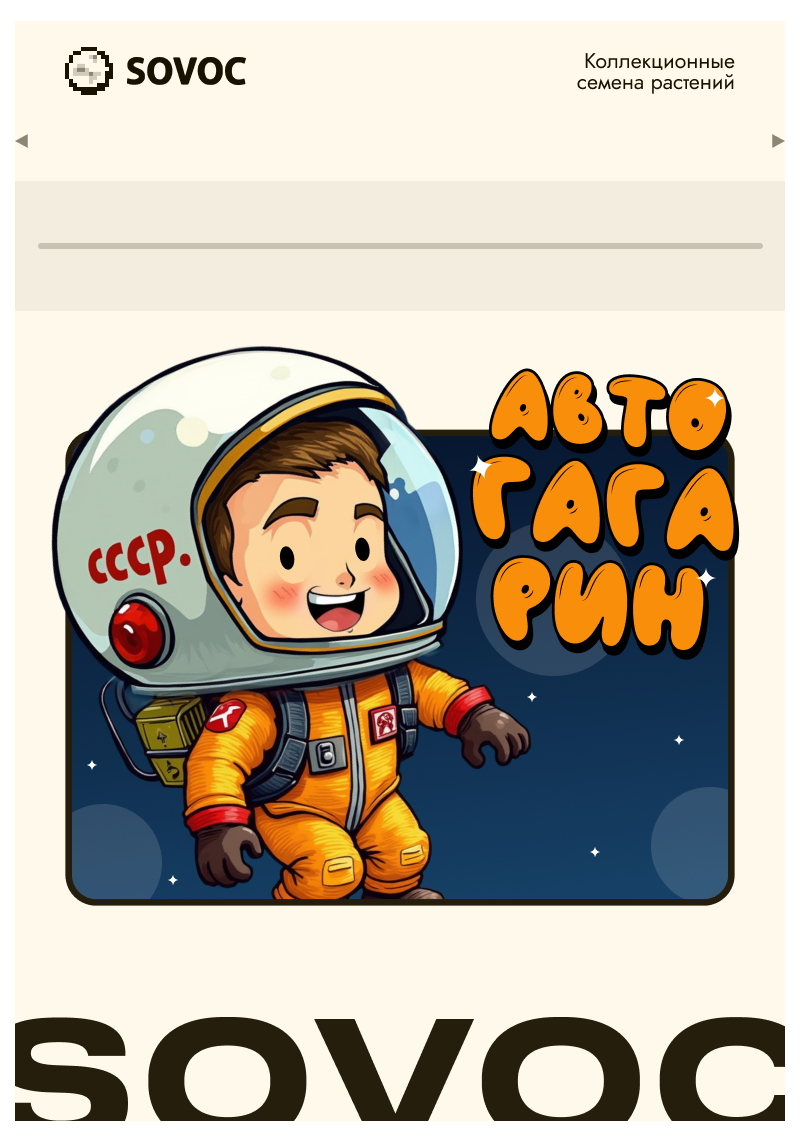 Авто Гагарин, Фасовка: 3