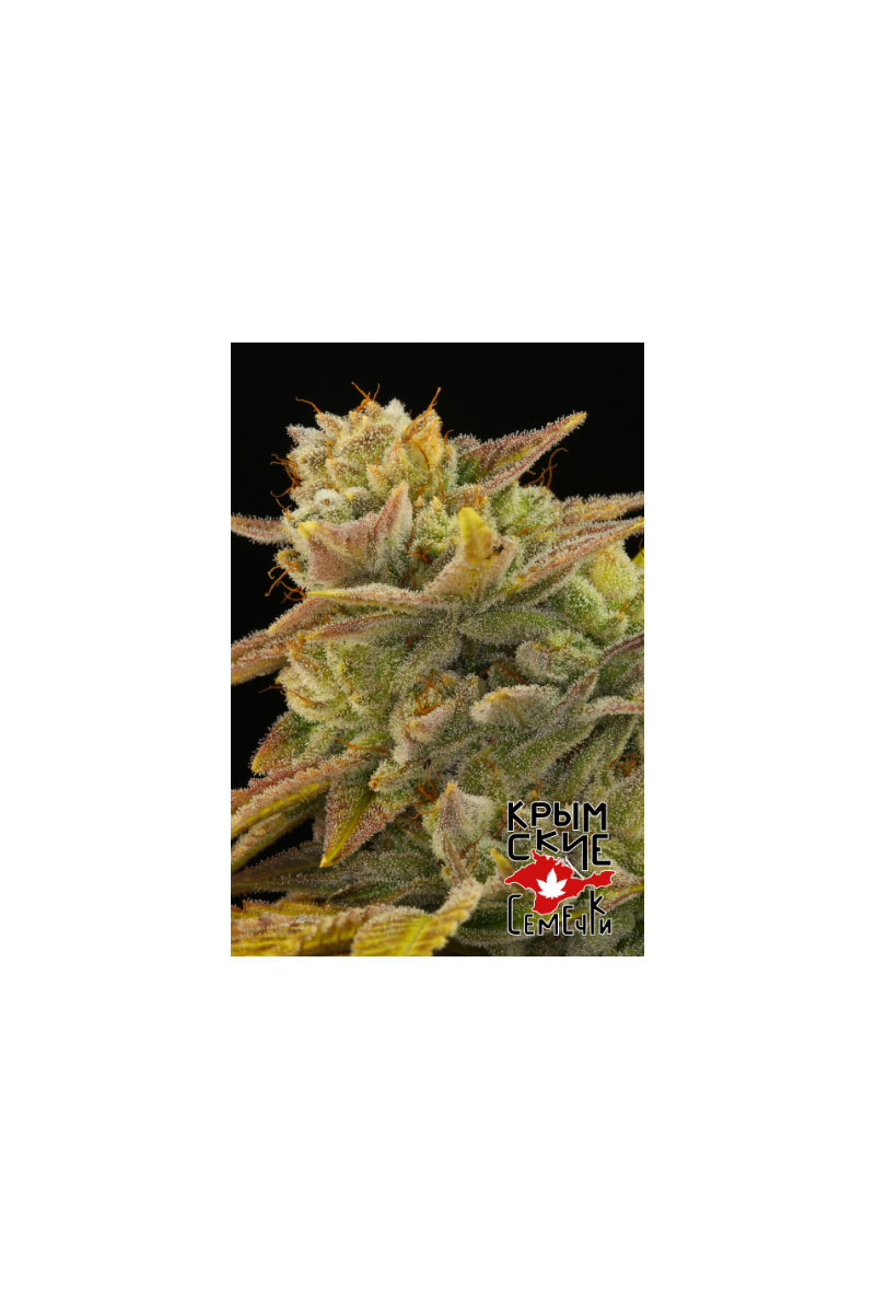 Gorilla bud Auto, Фасовка: 10