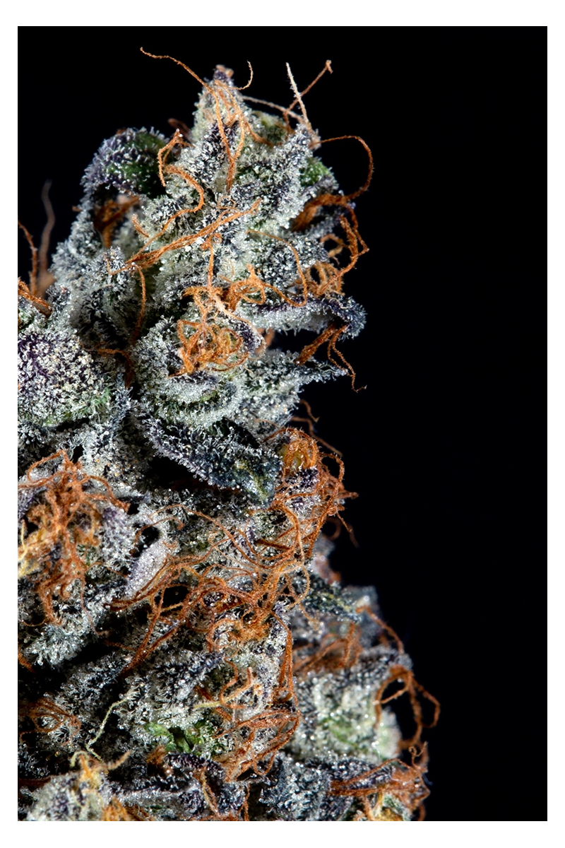 Luxar-Dos, Фасовка: 5, изображение 2