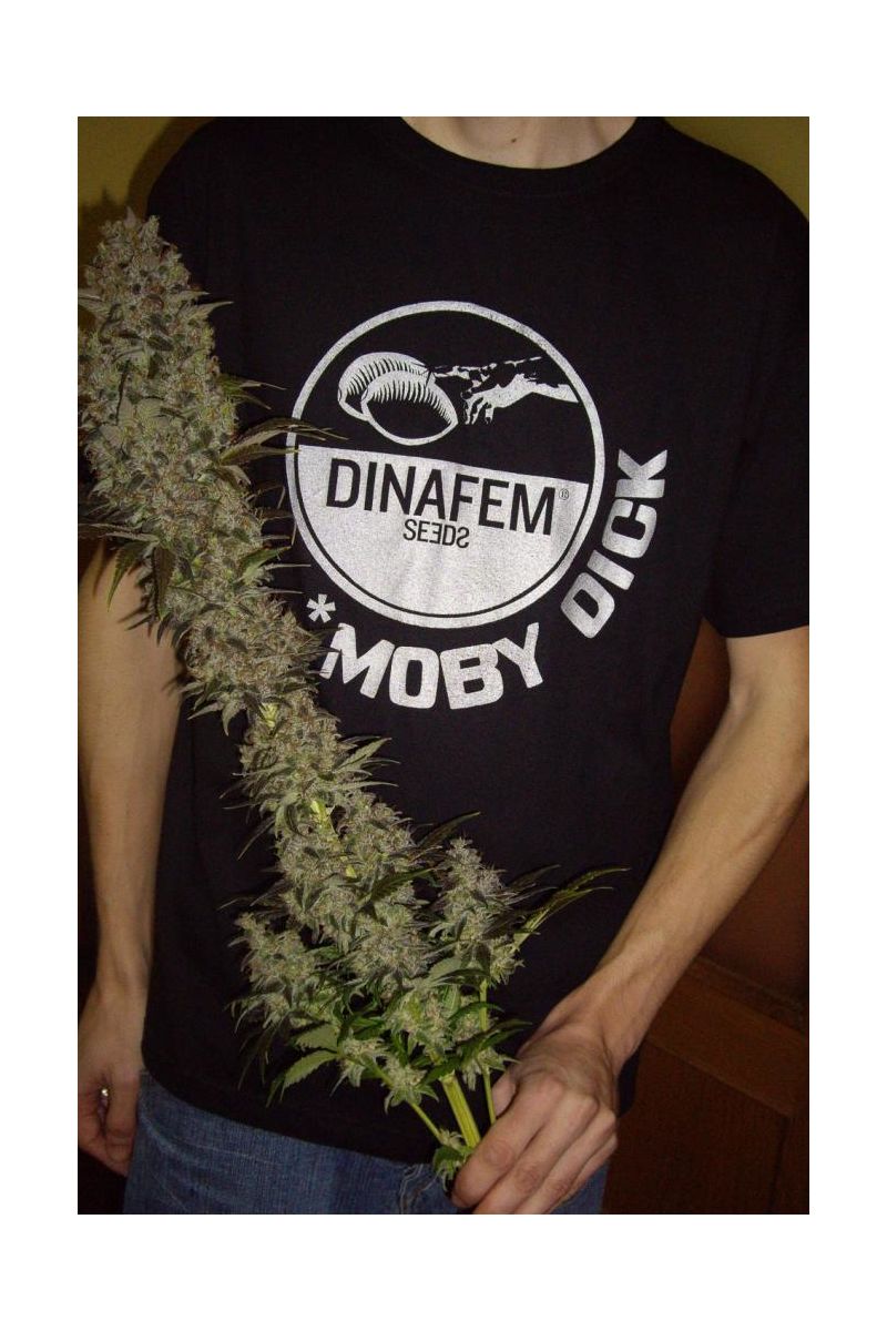 Футболка мужская, черная "MobiDick", Фасовка: 1