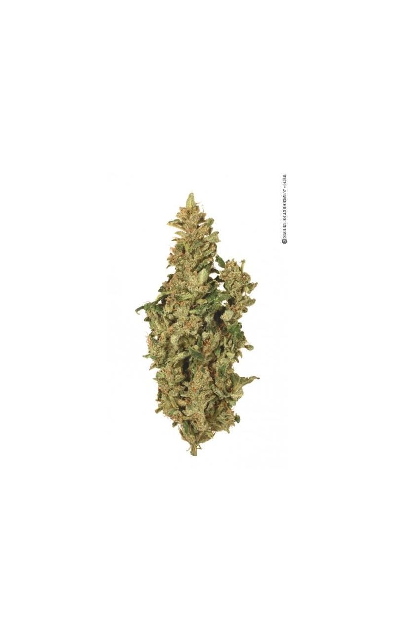 Taiga #2, Фасовка: 3, изображение 7