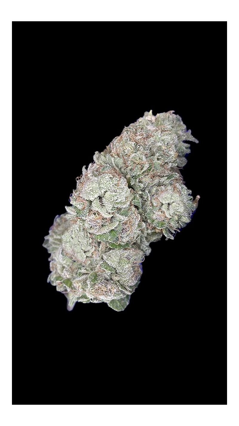 Da Vinci, Фасовка: 3