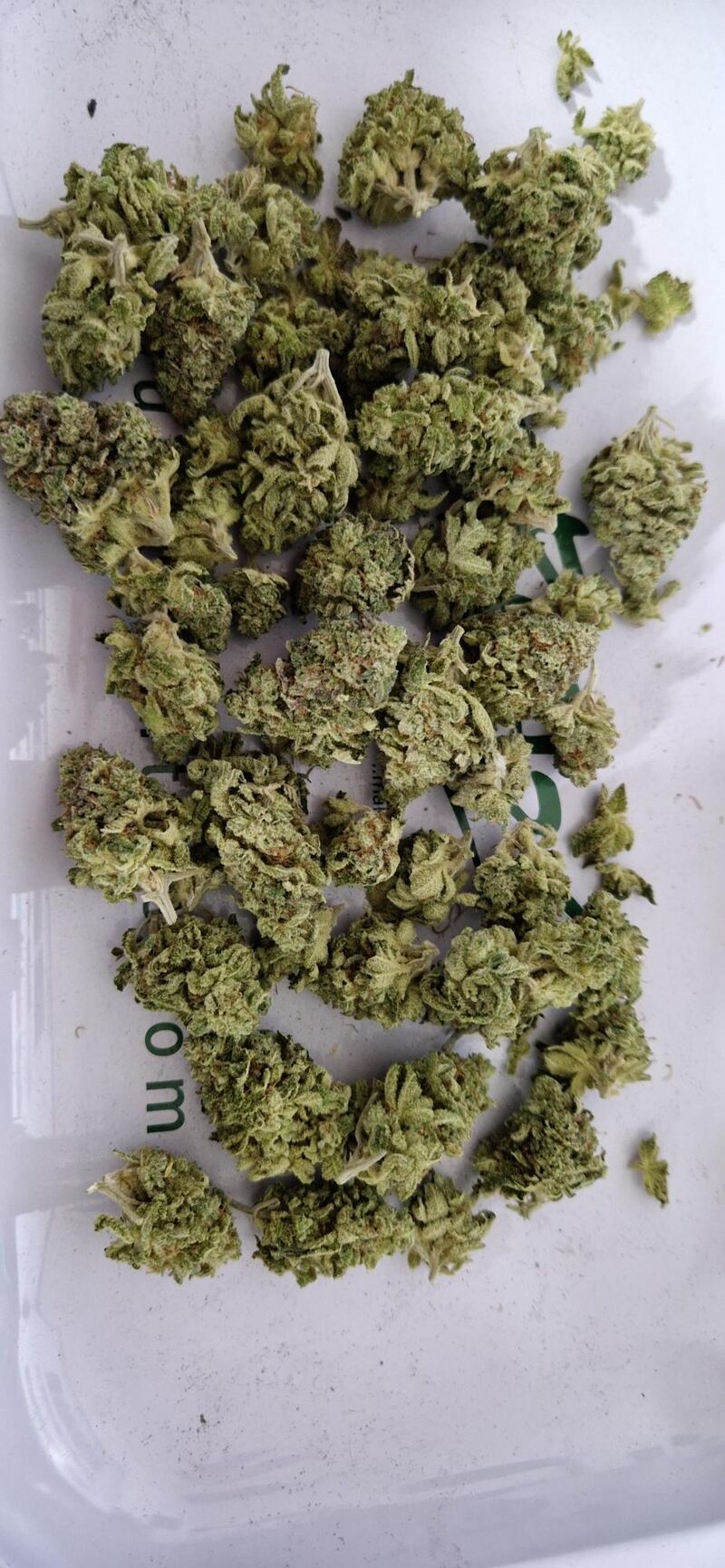 Mimosa EVO, Фасовка: 5, изображение 4