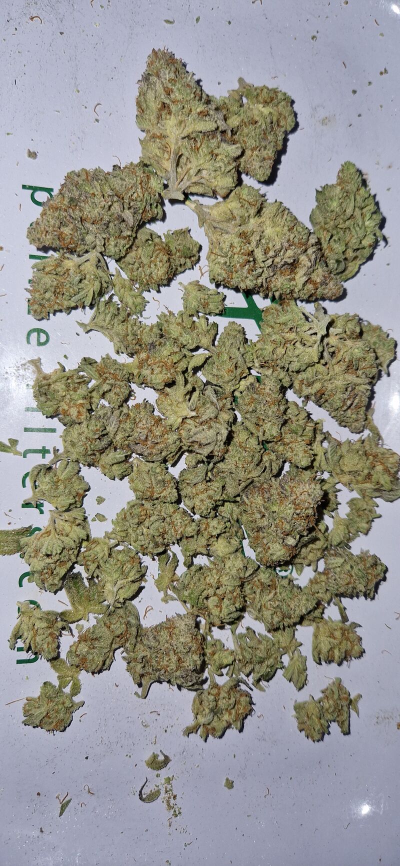 Biscotti, Фасовка: 3, изображение 6