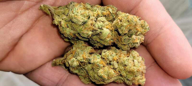 Vanilla Latte Auto, Фасовка: 3, изображение 4