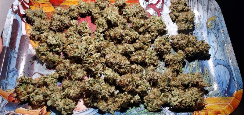 Auto Bubble Gum XL, Фасовка: 5, изображение 4