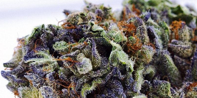 Purple Kush (X), Фасовка: 5, изображение 6