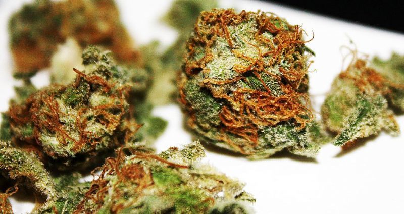 Blueberry (X), Фасовка: 5, изображение 4