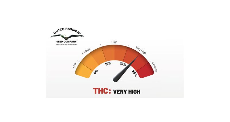 Desfran Auto, Фасовка: 1, изображение 4