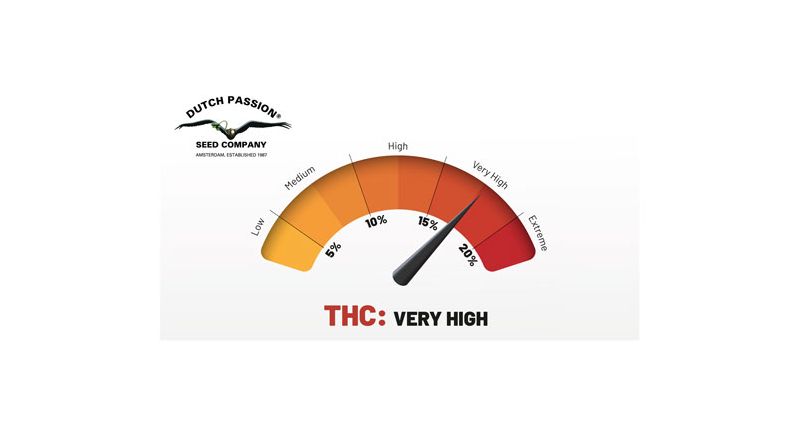 Blueberry, Фасовка: 3, изображение 5