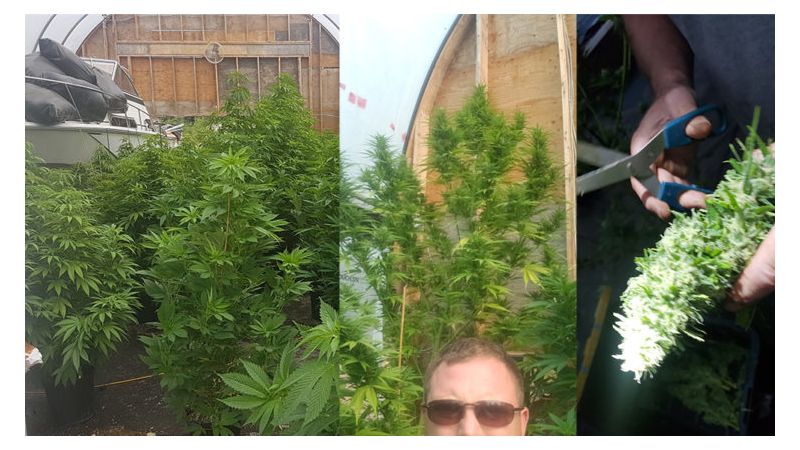 Kabul Express, Фасовка: 3, изображение 3