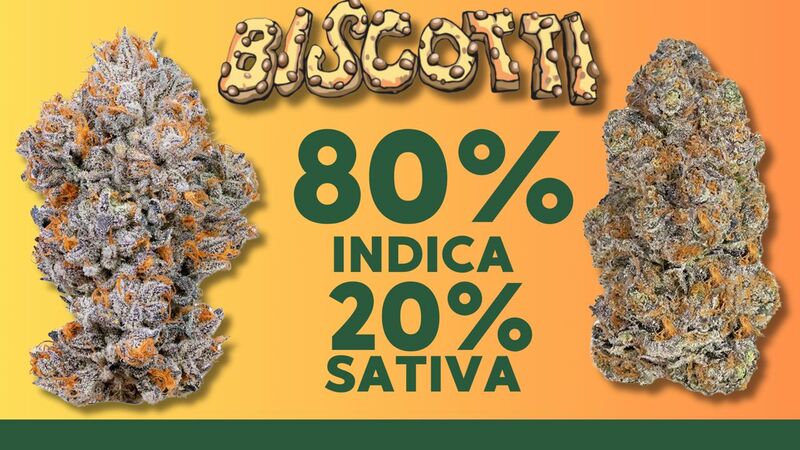 Biscotti, Фасовка: 5, изображение 2